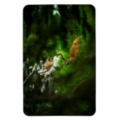 Magnet Flexible Le Prince Forêt (Vertical)