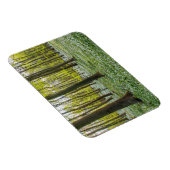 Magnet Flexible Le printemps à la vie (Côté Droit)