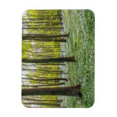 Magnet Flexible Le printemps à la vie (Vertical)