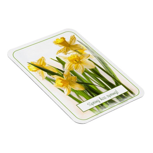 Magnet Flexible Le printemps a Sprung Jaune Daffodils Gros plan Ph (Côté Droit)