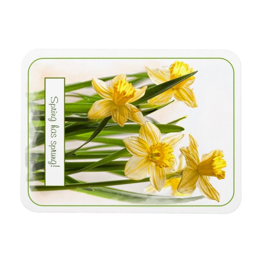 Magnet Flexible Le printemps a Sprung Jaune Daffodils Gros plan Ph (Horizontal)
