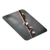 Magnet Flexible Le printemps arrive (Côté Droit)