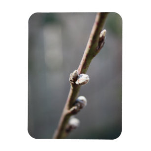 Magnet Flexible Le printemps arrive