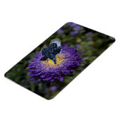 Magnet Flexible Le Rare Blue Bugphant (Côté Gauche)