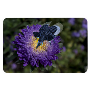 Magnet Flexible Le Rare Blue Bugphant