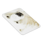 Magnet Flexible Le regard d'un ours polaire (Côté Droit)