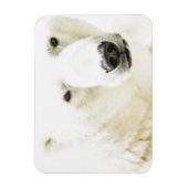 Magnet Flexible Le regard d'un ours polaire (Vertical)