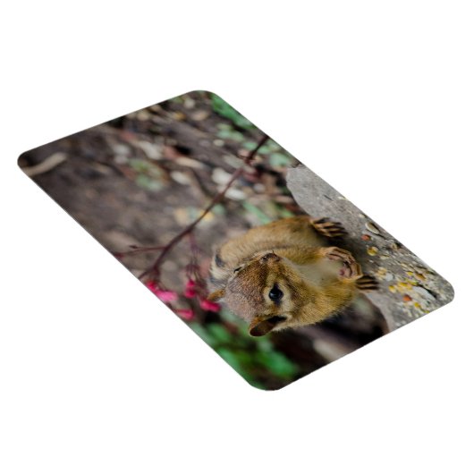 Magnet Flexible Le repas de la tamia (Côté Droit)