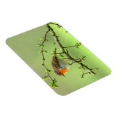 Magnet Flexible Le Robin (Côté Droit)