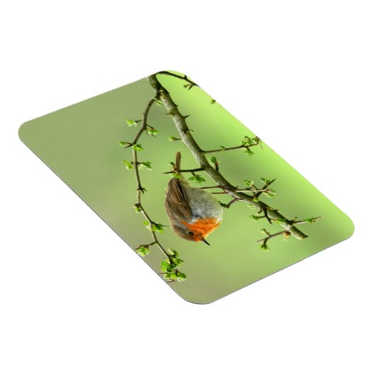 Magnet Flexible Le Robin (Côté Droit)