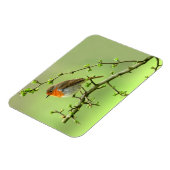 Magnet Flexible Le Robin (Côté Gauche)