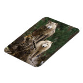 Magnet Flexible Le royaume des loups blancs (Côté Gauche)