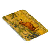Magnet Flexible Le sanctuaire des chevaux sauvages. (Côté Droit)
