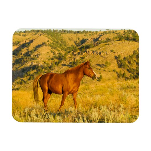 Magnet Flexible Le sanctuaire des chevaux sauvages. (Horizontal)