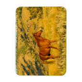 Magnet Flexible Le sanctuaire des chevaux sauvages. (Vertical)
