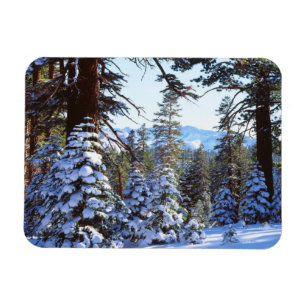 Magnet Flexible Le sapin rouge couvert de neige dans la Haute Sier