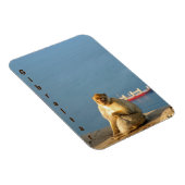 Magnet Flexible Le singe barbare de Gibraltar (Côté Droit)