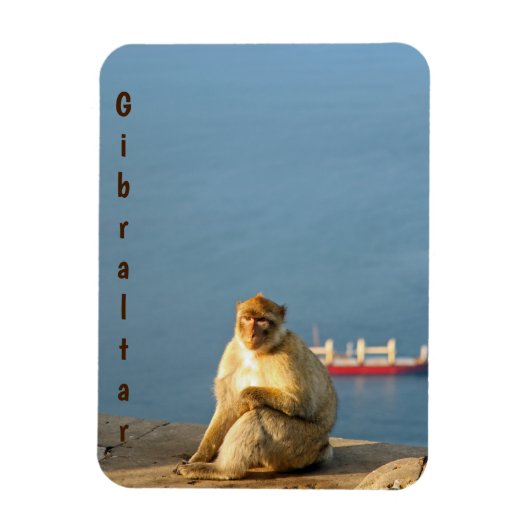 Magnet Flexible Le singe barbare de Gibraltar (Vertical)