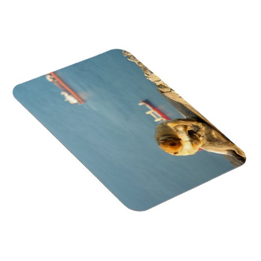 Magnet Flexible Le singe barbare de Gibraltar (Côté Droit)