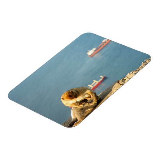Magnet Flexible Le singe barbare de Gibraltar (Côté Gauche)