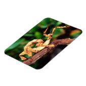 Magnet Flexible le spectre de Macleay (épiney Stick Insect), (Côté Gauche)
