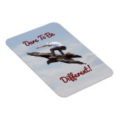 Magnet Flexible Le surf des oiseaux (Côté Droit)