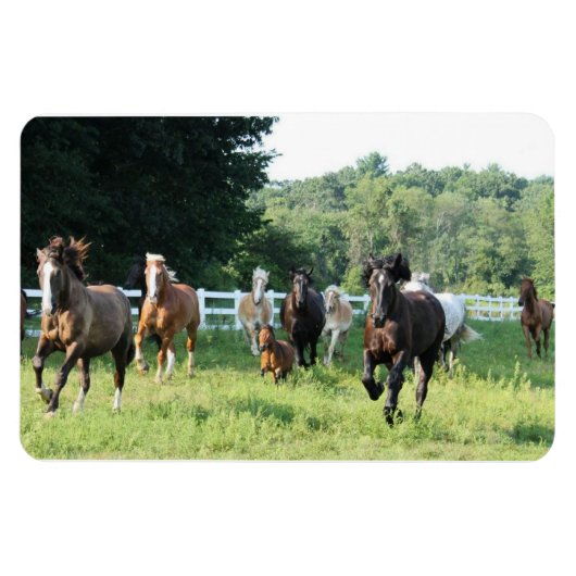 Magnet Flexible Le troupeau et le Herdmaster (Horizontal)