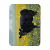 Magnet Flexible Le veau noir dans un champ de tournesols (Vertical)