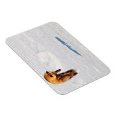 Magnet Flexible Leap Fox | Yukon, Canada (Côté Droit)