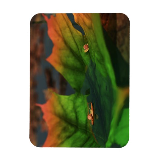 Magnet Flexible L'Eau Est Un Large Aimant Flexible (Vertical)