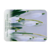 Magnet Flexible Leçon de la nature : Snowdrop Educational Fridge (Horizontal)