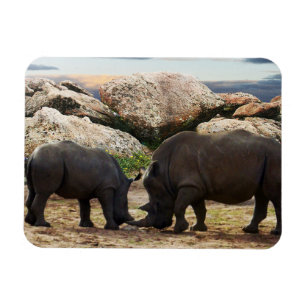 Magnet Flexible Leçon de vie de rhinocéros bébé,