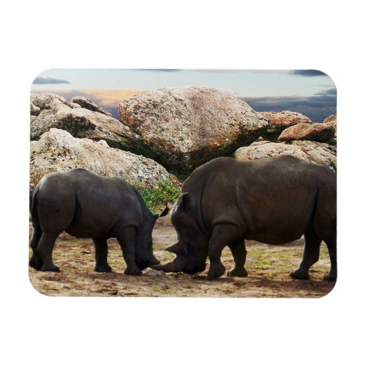 Magnet Flexible Leçon de vie de rhinocéros bébé, (Horizontal)