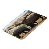 Magnet Flexible Leçon de vie de rhinocéros bébé, (Côté Gauche)