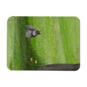 Magnet Flexible L'écureuil a l'air mignon (Horizontal)