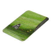 Magnet Flexible L'écureuil a l'air mignon (Côté Gauche)