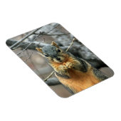 Magnet Flexible L'écureuil mange une noix (Côté Droit)