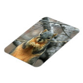 Magnet Flexible L'écureuil mange une noix (Côté Gauche)