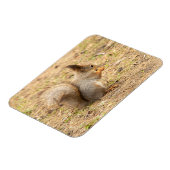 Magnet Flexible L'écureuil mignon mange une photo de noix (Côté Gauche)
