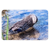 Magnet Flexible L'effet de toilettage (Horizontal)