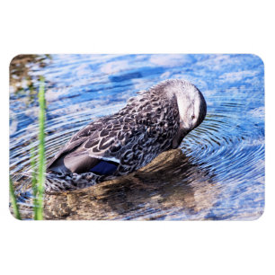 Magnet Flexible L'effet de toilettage