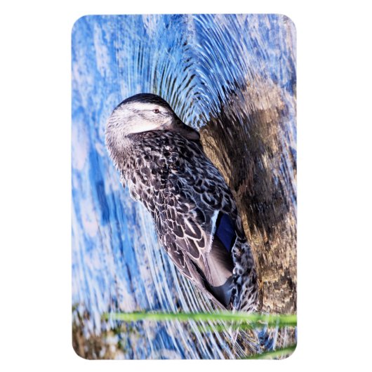 Magnet Flexible L'effet de toilettage (Vertical)