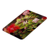 Magnet Flexible Lehua Blossoms In Hawaï Volcanoes (Côté Gauche)