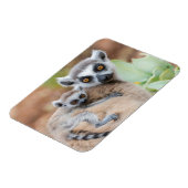 Magnet Flexible Lémurien à queue annelée bébé sur le dos de sa mèr (Côté Gauche)