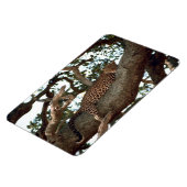 MAGNET FLEXIBLE LEOPARD DANS L'ARBRE (Côté Gauche)