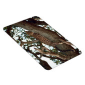 MAGNET FLEXIBLE LEOPARD DANS L'ARBRE (Côté Droit)