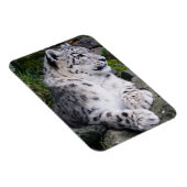 Magnet Flexible Léopard de neige refroidi (Côté Droit)