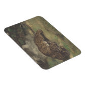 Magnet Flexible Leopard et Serpent (Côté Droit)