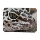 Magnet Flexible Léopard Gecko Yeux Bouche visage gros (Horizontal)