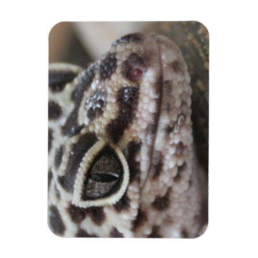 Magnet Flexible Léopard Gecko Yeux Bouche visage gros (Vertical)
